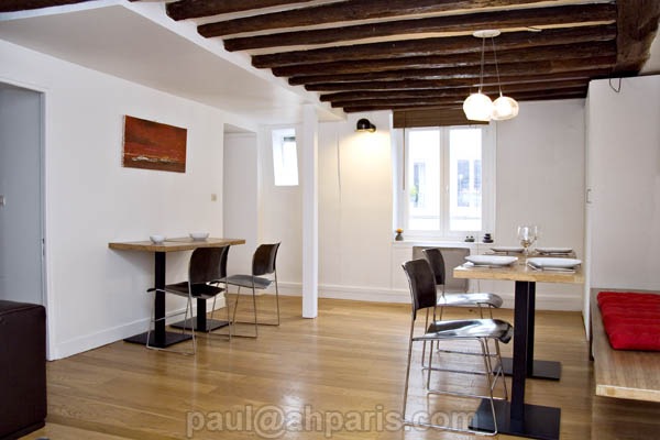 Ah Paris vacation apartment 146 - sam2