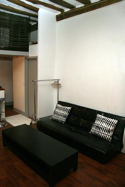 Ah Paris vacation apartment 320 - salon3